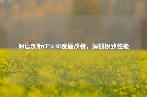 深度剖析CF250SR赛道改装,解锁极致性能
