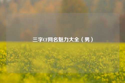 三字CF网名魅力大全(男)