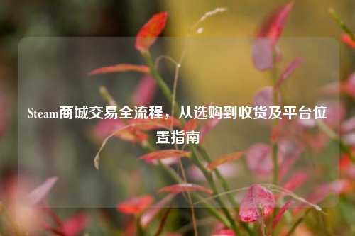 Steam商城交易全流程,从选购到收货及平台位置指南