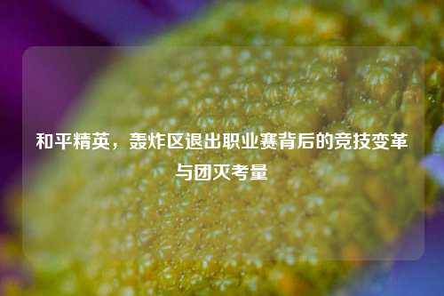和平精英,轰炸区退出职业赛背后的竞技变革与团灭考量
