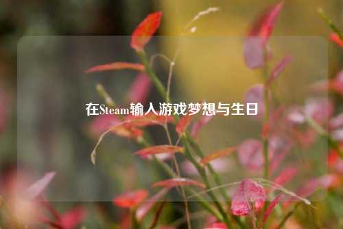 在Steam输入游戏梦想与生日