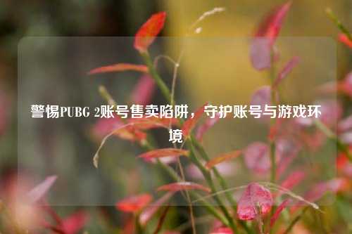 警惕PUBG 2账号售卖陷阱,守护账号与游戏环境