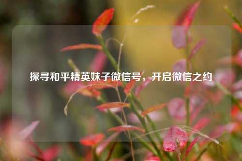 探寻和平精英妹子微信号,开启微信之约