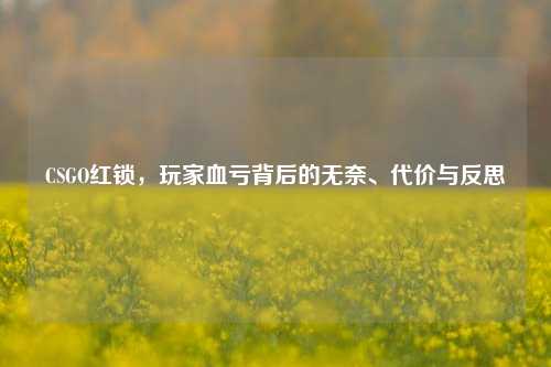 CSGO红锁,玩家血亏背后的无奈、代价与反思