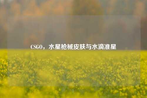 CSGO,水星枪械皮肤与水滴准星