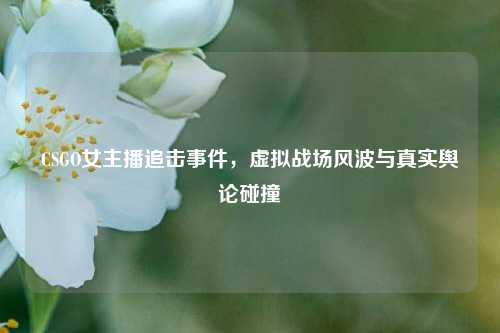 CSGO女主播追击事件,虚拟战场风波与真实舆论碰撞
