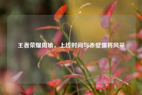 王者荣耀周瑜,上线时间与赤壁儒将风采
