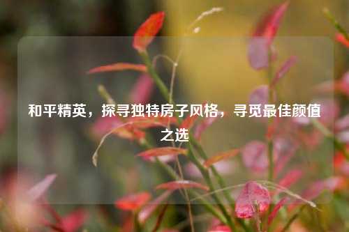 和平精英,探寻独特房子风格,寻觅更佳颜值之选