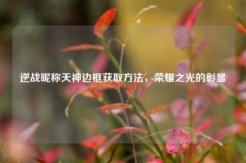逆战昵称天神边框获取 *** ,荣耀之光的彰显