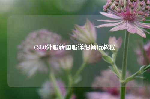 CSGO外服转国服详细畅玩教程