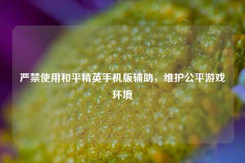 严禁使用和平精英手机版辅助,维护公平游戏环境