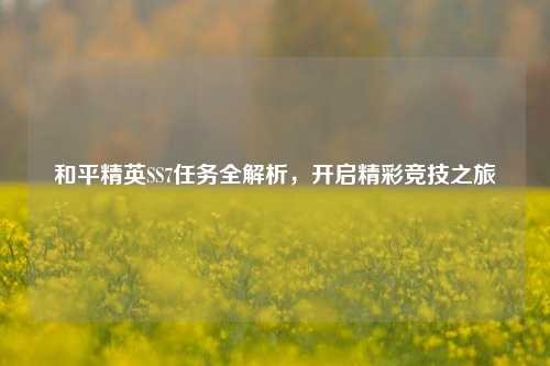 和平精英SS7任务全解析,开启精彩竞技之旅