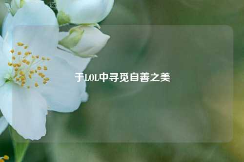 于LOL中寻觅自善之美