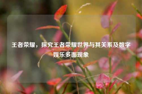 王者荣耀,探究王者荣耀世界与其关系及数字娱乐多面现象