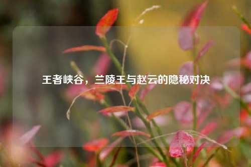 王者峡谷,兰陵王与赵云的隐秘对决