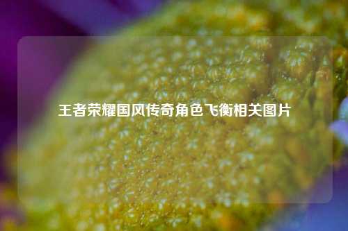 王者荣耀国风传奇角色飞衡相关图片