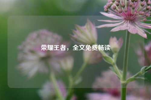 荣耀王者,全文免费畅读