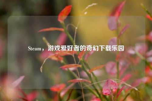 Steam,游戏爱好者的奇幻下载乐园
