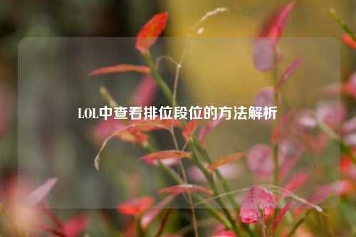 LOL中查看排位段位的 *** 解析