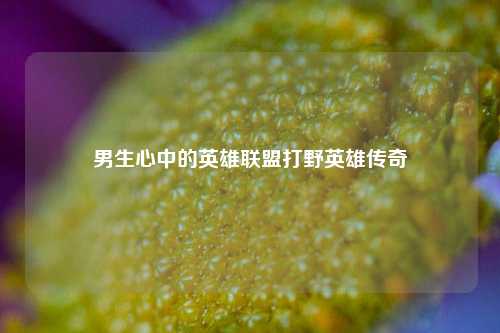 男生心中的英雄联盟打野英雄传奇