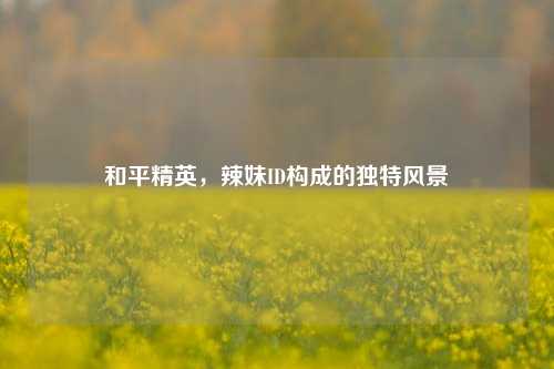 和平精英,辣妹ID构成的独特风景