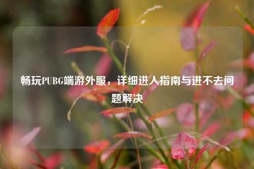 畅玩PUBG端游外服,详细进入指南与进不去问题解决