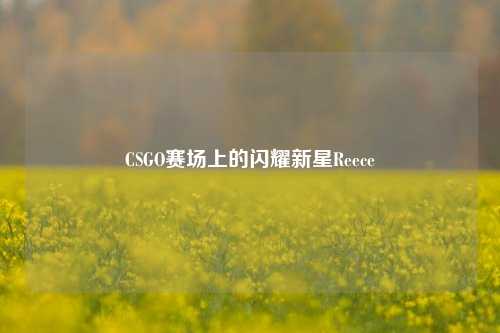 CSGO赛场上的闪耀新星Reece
