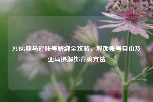 PUBG亚马逊账号解绑全攻略,解锁账号自由及亚马逊解绑育碧 ***
