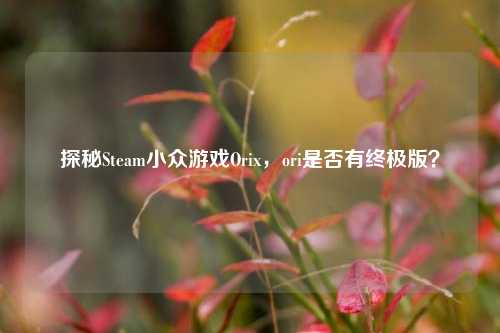 探秘Steam小众游戏Orix,ori是否有终极版?