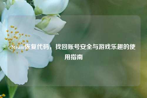 Steam恢复代码,找回账号安全与游戏乐趣的使用指南
