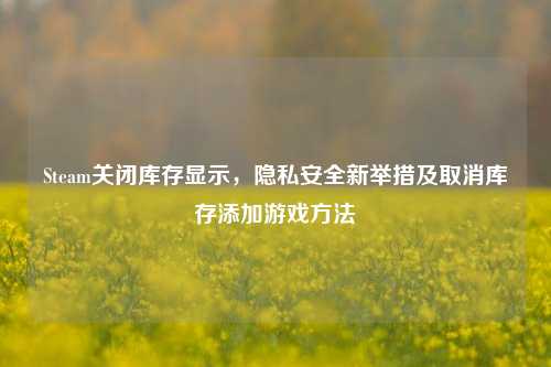 Steam关闭库存显示,隐私安全新举措及取消库存添加游戏 ***