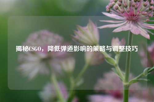 揭秘CSGO,降低弹道影响的策略与调整技巧
