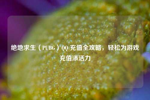绝地求生(PUBG) *** 充值全攻略,轻松为游戏充值添活力