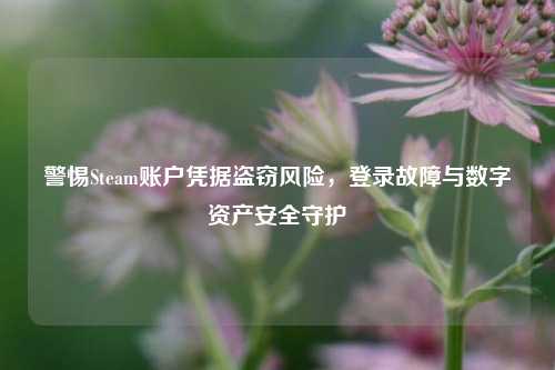 警惕Steam账户凭据***风险,登录故障与数字资产安全守护