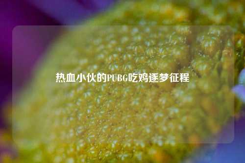 热血小伙的PUBG吃鸡逐梦征程