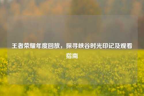 王者荣耀年度回放,探寻峡谷时光印记及观看指南