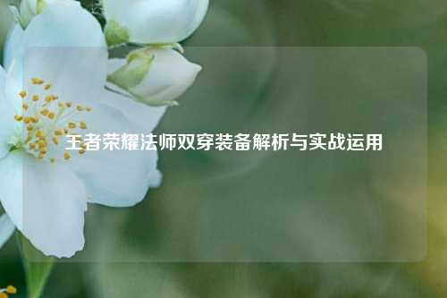王者荣耀法师双穿装备解析与实战运用