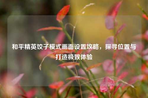和平精英饺子模式画面设置攻略,探寻位置与打造极致体验