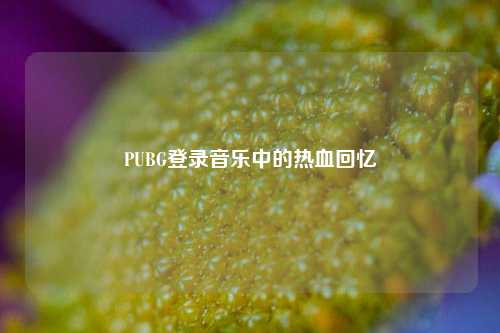 PUBG登录音乐中的热血回忆