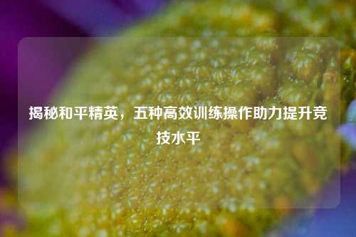 揭秘和平精英,五种高效训练操作助力提升竞技水平