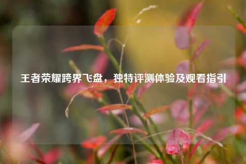 王者荣耀跨界飞盘,独特评测体验及观看指引