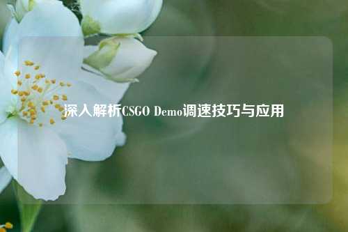 深入解析CSGO Demo调速技巧与应用