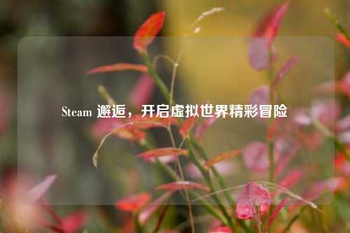 Steam 邂逅,开启虚拟世界精彩冒险