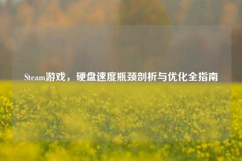Steam游戏,硬盘速度瓶颈剖析与优化全指南