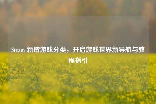 Steam 新增游戏分类,开启游戏世界新导航与教程指引