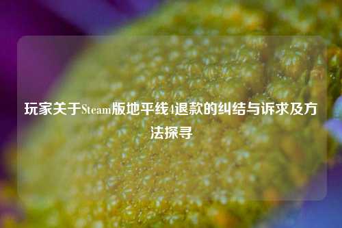 玩家关于Steam版地平线4退款的纠结与诉求及 *** 探寻