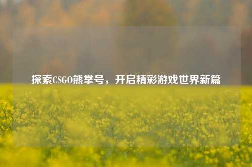 探索CSGO熊掌号,开启精彩游戏世界新篇