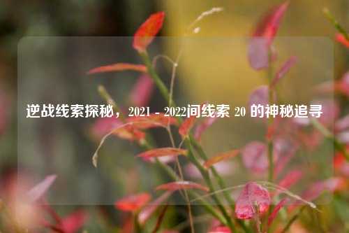 逆战线索探秘,2021 - 2022间线索 20 的神秘追寻