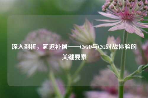 深入剖析,延迟补偿——CSGO与CS2对战体验的关键要素