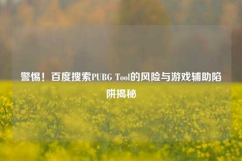 警惕!百度搜索PUBG Tool的风险与游戏辅助陷阱揭秘